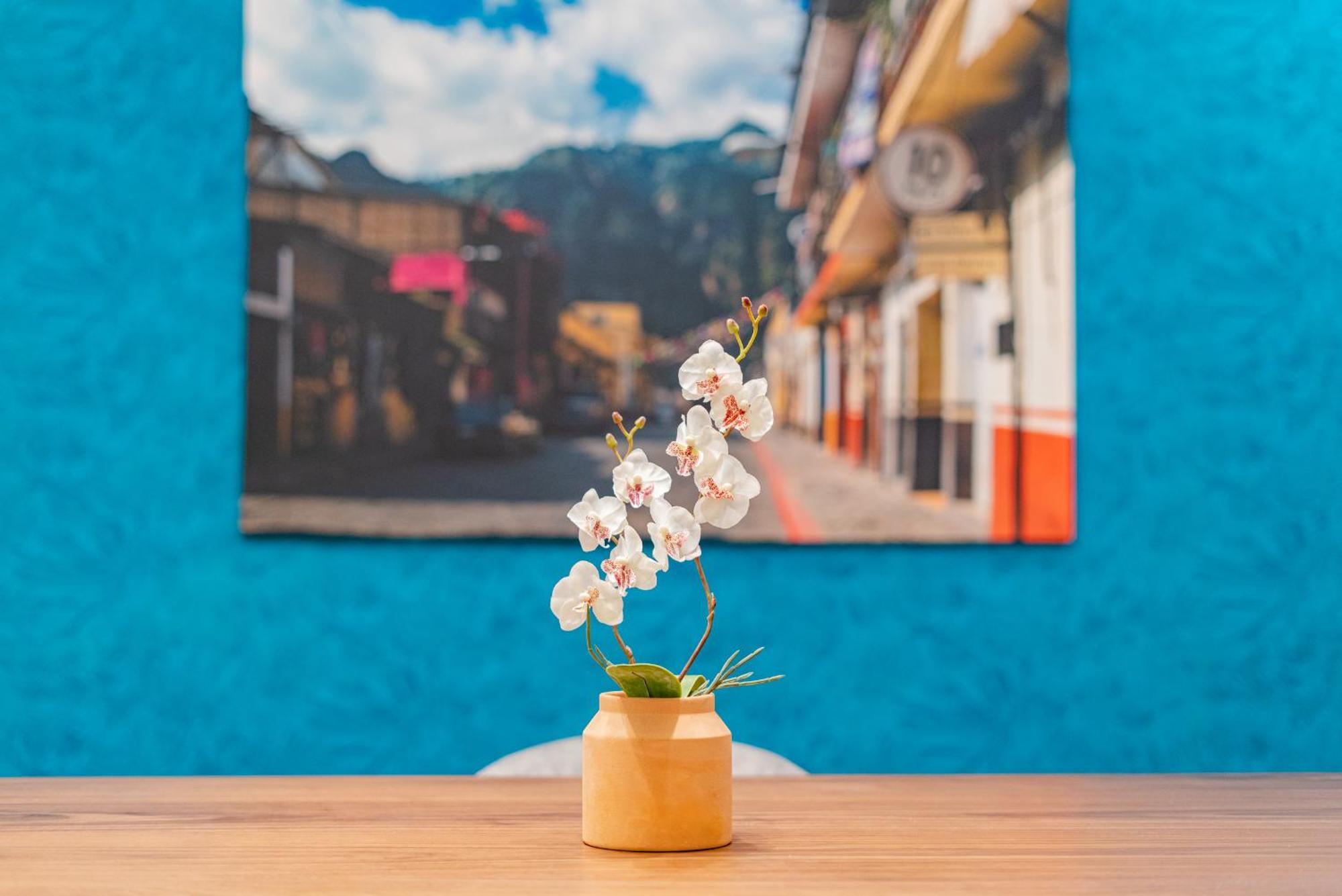 Hipodromo Condesa Apartments By Vh Mexico City Room photo